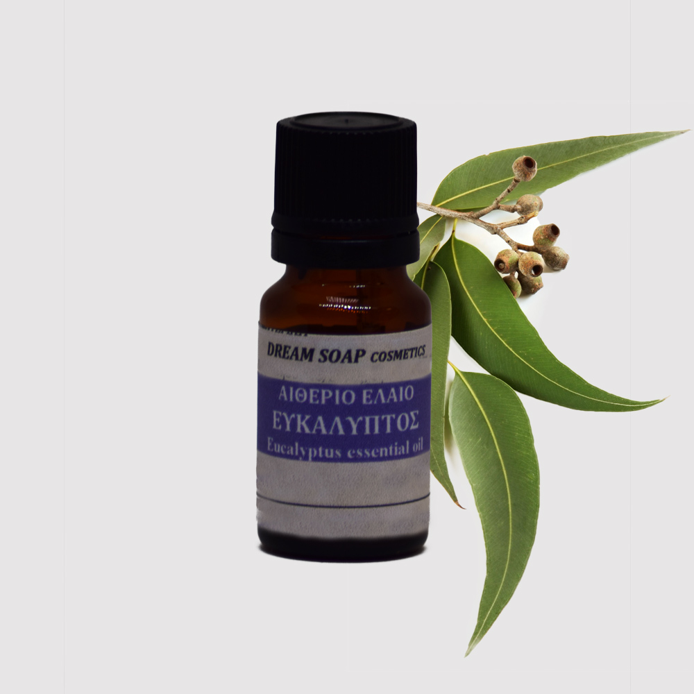 Ess-Eucalyptus10