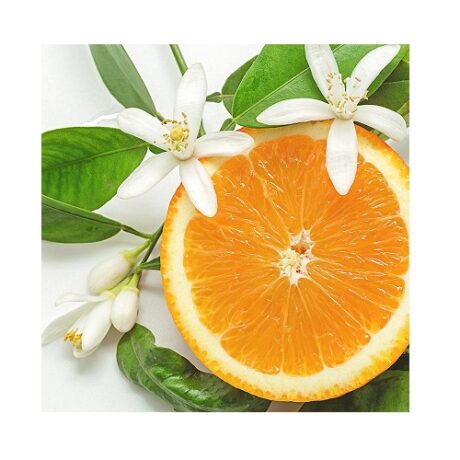 Orange with leafs and blossom in a white background