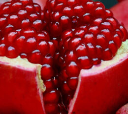 Pomegranate