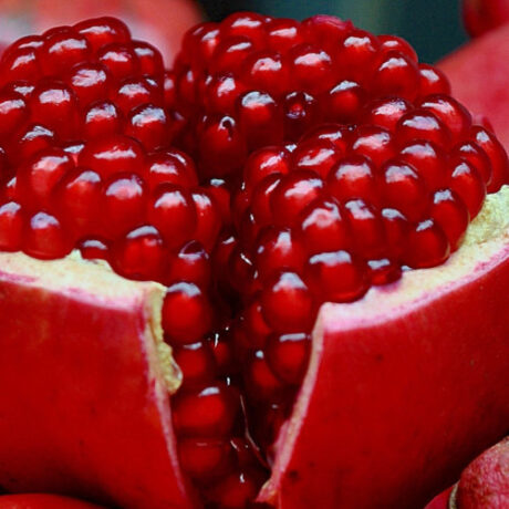 Pomegranate